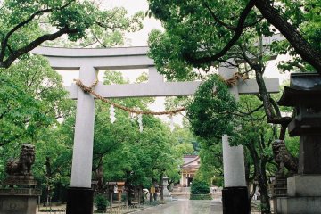 The largest torii of the shrine, over the main walkway (my digital camera had ran out of battery so I had switched to film at this point)