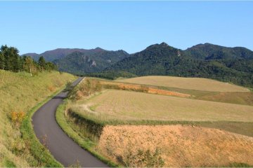 Terraced hayfields on Heidi Hill