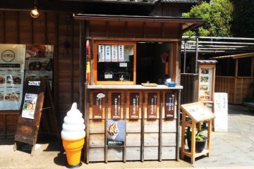 The ubiquitous soft serve ice cream 