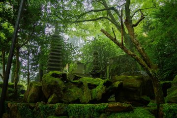 Temple garden