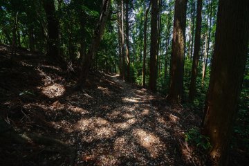 Kamo Path