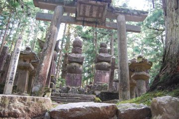 <p>L'une des 200 000 tombes situ&eacute;es au milieu des grands c&egrave;dres d'Okuno-in, qui dit-on est le plus grand cimeti&egrave;re du Japon</p>