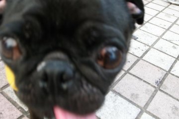 Drool...agh, time to go home! I'm in a state!