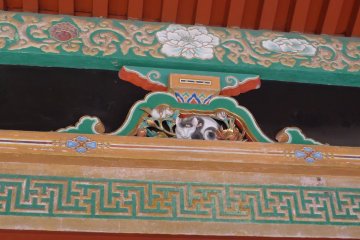 Le chat qui dort
