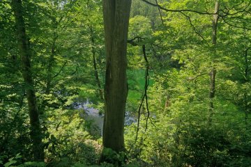 Stunning views of nature