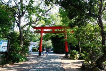 Le torii de l'entrée