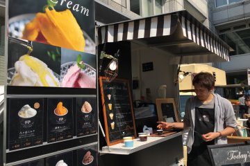 Stan es krim