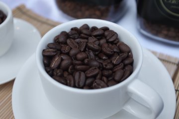 Biji kopi tertua dari Inggris