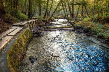 Vous remarquerez rapidement qu'une grande partie du chemin longe la rivière Yu