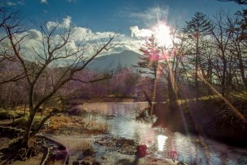 A certains moments, la forêt s'ouvre pour former un plateau