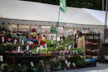 Des stands vendant des fleurs près du Musée Municipal d'Art d'Osaka