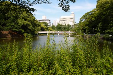 L'étang Kawazokoike