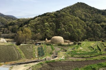 Dream of Olive is hard to miss amidst the terraced rice fields of Nakayama