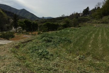 You have to walk down some hill paths to get there