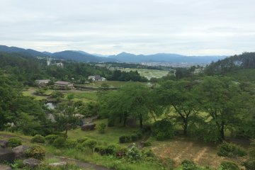 Another part of the park
