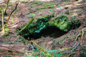 A small cave