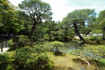 Plants and trees in the temple are well taken care of