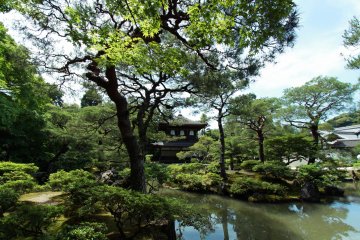The Kannon Hall Pavilion in all its beauty
