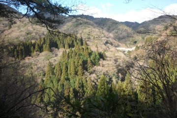 Pemandangan menuju puncak gunung