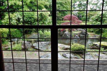 View of the garden from one of the main dining rooms.