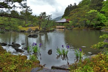 Joraku-en à Fukushima Sous la Pluie