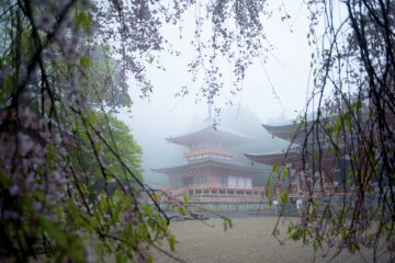 Magang di Japan Travel 