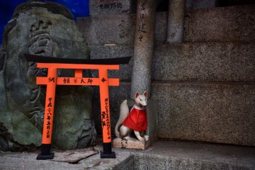 Kitsune-san guarding a torii gate