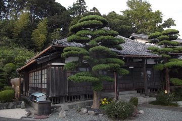 The main hall, with carefully pruned trees