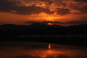 Puesta de sol sobre los campos de arroz.