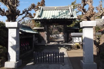 The gate from the street