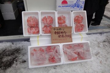 札幌雪祭典ー大通公園
