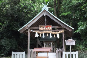 Near the beach, but surrounded by green