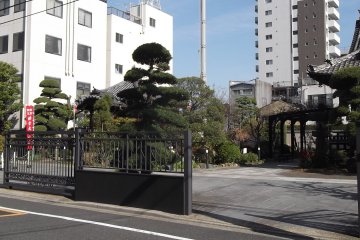 It's pretty open to the street