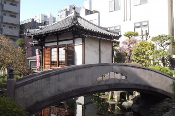 There's this elegant bridge over the water