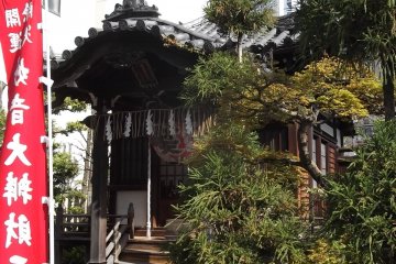 Surrounded by buildings but still peaceful