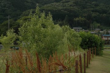 Mt. Hiwada looms in the background.