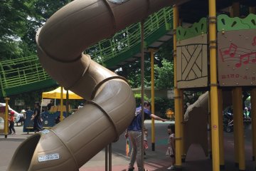 Le toboggan des grands.