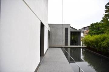Walkway back to the entrance