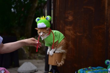 Ada yang tidak terlihat senang seperti yang lainnya