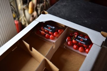 Packed and ready to go