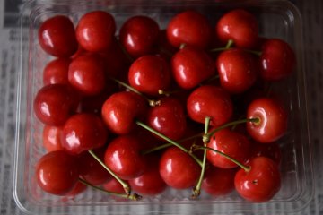 Cherry Season in Yamagata