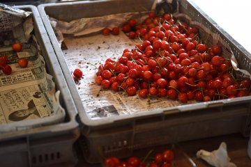 Piles and piles of plump cherries