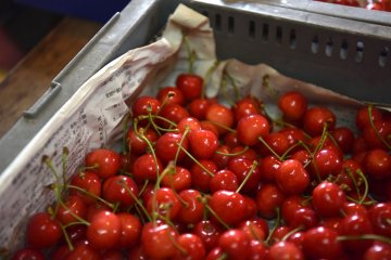 Cherry close-up