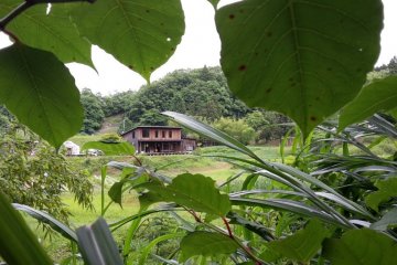 The farm