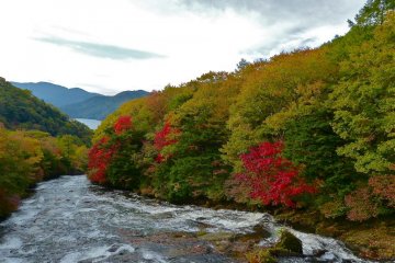 Beautiful color changes start along the Yukawa River