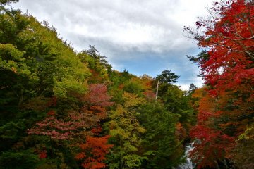 The blue sky peeks out between the beautiful autumn leaves