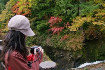 It is so beautiful that no one can miss taking nice photos!