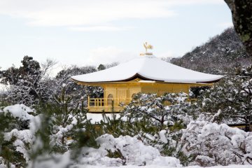 Look at that perfectly laden snow on the roof!