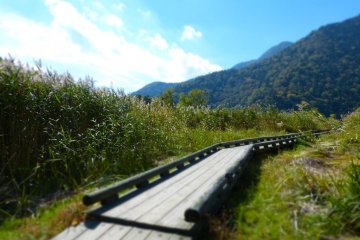 Wooden path to the lake