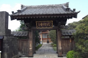 The gate from the street